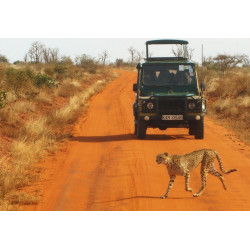Safari in Kenya