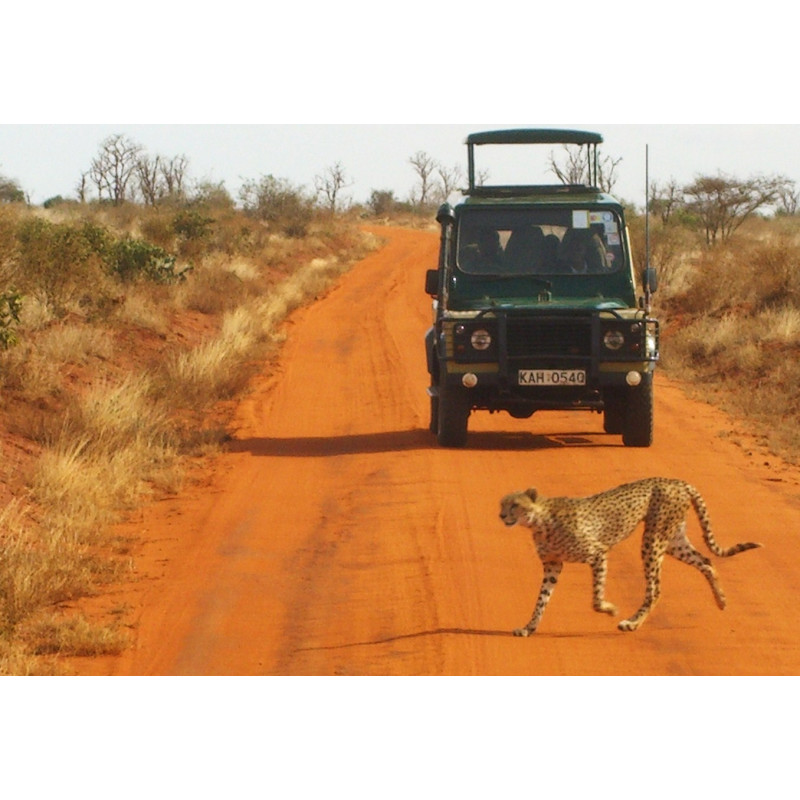 Safari en Kenia