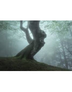 4. Nature and Adventure