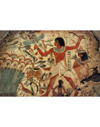 8. Cultura e Historia